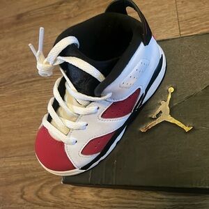 Jordan retro 6 carmines (TD)